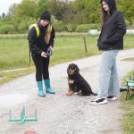 Z Radošovic vyšli milovníci psů na podporu Charity Strakonice