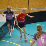 Milevsko hostilo Princess Cup. Domácí hráčky vybojovaly druhé místo