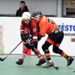 Písečtí hokejbalisté vstoupili do semifinálové série vítězně