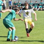 Boston loupil v Mirovicích, Královka pohořela v koncovce