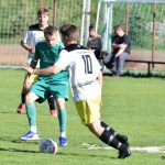 Boston loupil v Mirovicích, Královka pohořela v koncovce