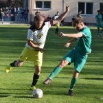 Boston loupil v Mirovicích, Královka pohořela v koncovce