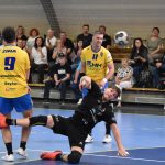 Házenkáři Strakonic uzavřeli play-out výhrou, Kopřivnici zdolali o jediný gól