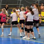 Písecké házenkářky si uhájily domácí hřiště, získaly dva nejcennější kovy