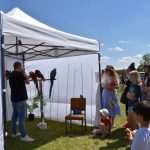 Na soběslavské letiště zamířilo přes dvanáct set lidí. K vidění byly letové ukázky i další bohatý program