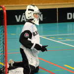 Mladší žáci završili Dragon Cup. Domácí skončili ve čtvrtfinále