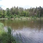 Řidič se svým Audi skončil v rybníku. Podařilo se mu vylézt oknem