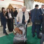 Výstaviště žije chutěmi i inspirací. Veletrhy Hobby a Czech Food Expo jsou v plném proudu