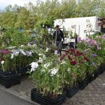 Výstaviště žije chutěmi i inspirací. Veletrhy Hobby a Czech Food Expo jsou v plném proudu