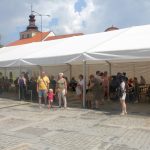 Milevšťáci nejsou z cukru. Akce Milevsko sobě lákala i přes nepřízeň počasí