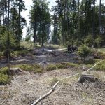 Perný den jindřichohradeckých hasičů: Vyjížděli k nehodám i požárům
