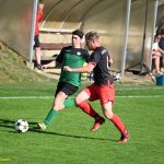 VIDEO: Větrovy vedení v derby dlouho neudržely. Myslkovice získaly na Viktorii cenný bod