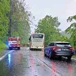 Přívalový déšť a kroupy zaměstnaly hasiče ve Vimperku. Voda zatéká do obchodů, silnice blokují stromy