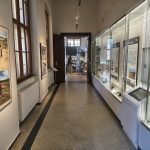 Bronzové kruhy z Písecka patří k pravým jihočeským nálezům. Nová výstava představuje archeologické nálezy z trasy D4