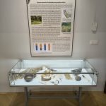 Bronzové kruhy z Písecka patří k pravým jihočeským nálezům. Nová výstava představuje archeologické nálezy z trasy D4