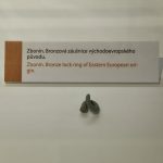 Bronzové kruhy z Písecka patří k pravým jihočeským nálezům. Nová výstava představuje archeologické nálezy z trasy D4