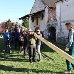 Kolik rukou je třeba k postavení májky? Technologický popis ve Františkově nepotřebují