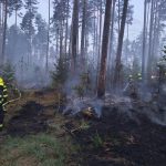 Hasiči zasahují u požáru lesa nedaleko Dražíče