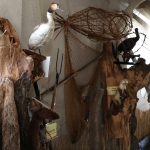Na hrázi rybníku Rožmberk se otevřelo rybářské muzeum. Návštěvníky provází praktik a velký srdcař