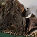 Na hrázi rybníku Rožmberk se otevřelo rybářské muzeum. Návštěvníky provází praktik a velký srdcař