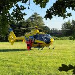 Žena se otrávila houbami, postupné příznaky skončily těžkou poruchou vědomí