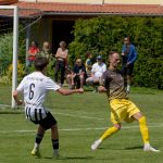 Mistrovská Zlatá Koruna nasázela Volyni šest branek. Růžička zkompletoval hattrick
