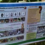 VIDEO: Zámecký park v Petrovicích žil mysliveckým dětským dnem