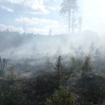 Při požáru lesa byl vyhlášen poplach druhého stupně