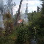 Při požáru lesa byl vyhlášen poplach druhého stupně