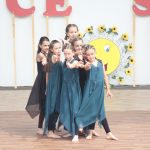 Dance show ve Strakonicích lákala na ladné pohyby a zábavu