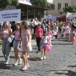 Sobota na slavnosti Dotkni se Písku patřila i píseckým spolkům
