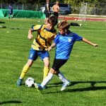 Strakon Cup přilákal 22 týmů. Domácí slavili vítězství v mladší přípravce