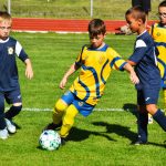 Strakon Cup přilákal 22 týmů. Domácí slavili vítězství v mladší přípravce