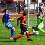 Strakon Cup přilákal 22 týmů. Domácí slavili vítězství v mladší přípravce