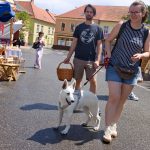 Linecká stezka znovu ožila. Netolice hostily tradiční jarmark plný zážitků
