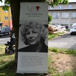 Nohejbalový turnaj v Radimovicích vyhrál nový tým Dvorce. Následoval benefiční koncert pro malou Elišku