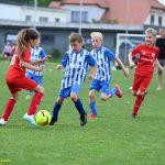 VIDEO: Pohár starosty města Planá nad Lužnicí zůstal znovu doma a radovalo se opět i Táborsko