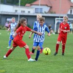 VIDEO: Pohár starosty města Planá nad Lužnicí zůstal znovu doma a radovalo se opět i Táborsko