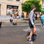 Linecká stezka znovu ožila. Netolice hostily tradiční jarmark plný zážitků
