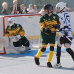 Hokejbal: Šampion je z Pardubic. Finálový turnaj na jihu Čech opanovaly naděje HBC Svítkov