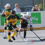 Hokejbal: Šampion je z Pardubic. Finálový turnaj na jihu Čech opanovaly naděje HBC Svítkov