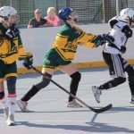 Hokejbal: Šampion je z Pardubic. Finálový turnaj na jihu Čech opanovaly naděje HBC Svítkov