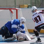 Hokejbal: Šampion je z Pardubic. Finálový turnaj na jihu Čech opanovaly naděje HBC Svítkov