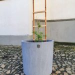 Kostelní ulici  v Jindřichově Hradci v horkých dnech ochladí popínavé rostliny