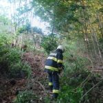 Opilý řidič bez řidičáku sjel s autem z prudkého svahu u Kostelce nad Vltavou