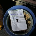 Jmenuje se Sami. U táborského útulku někdo nechal přivázaného mohutného psa se vzkazem