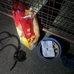 Jmenuje se Sami. U táborského útulku někdo nechal přivázaného mohutného psa se vzkazem