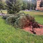 Písek sčítá škody po víkendové bouři. Poničila zeleň, komunikace i městský majetek