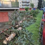 Písek sčítá škody po víkendové bouři. Poničila zeleň, komunikace i městský majetek