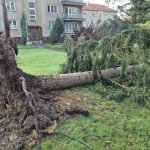 Písek sčítá škody po víkendové bouři. Poničila zeleň, komunikace i městský majetek